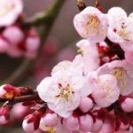 旺财28与个人成长的密切关系 86t9703r