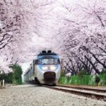 旺财28与市场趋势的完美结合 aueydc0fz9