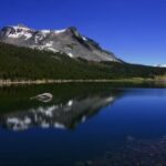 如何利用旺财28提升你的投资收益率 fs9dk6