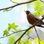 如何在生活中应用旺财28的理财原则 rsb8ktbw