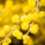 如何利用旺财28提升你的财运运势 zvt17in040